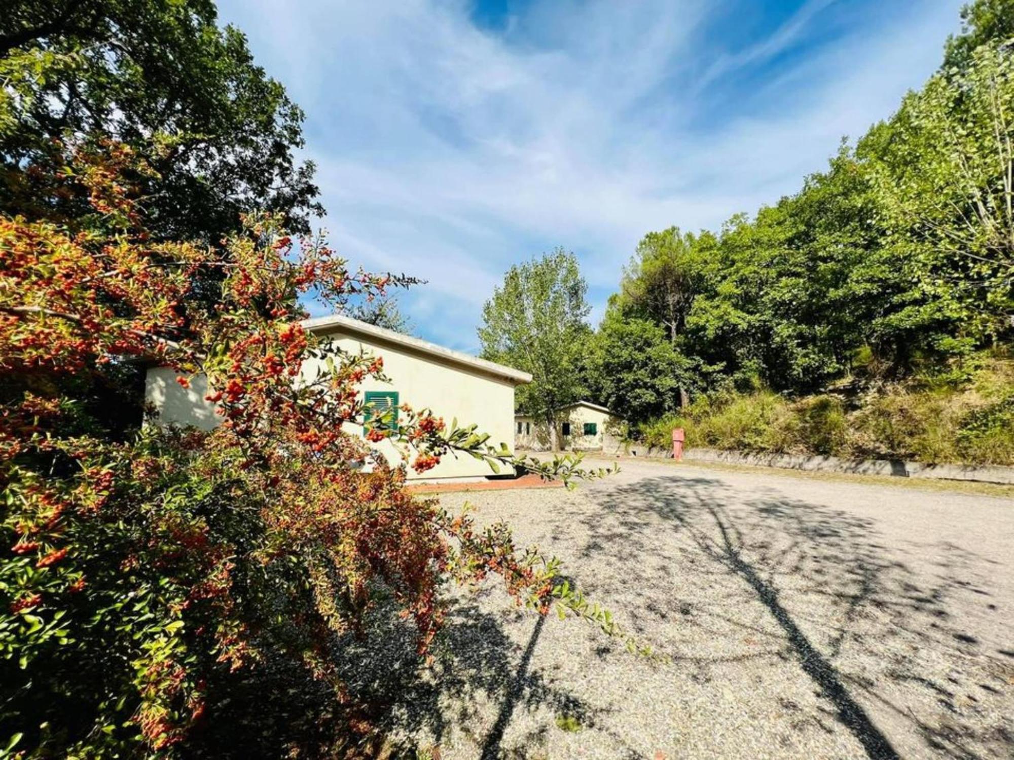 Camping Village Mugello Verde San Piero a Sieve Værelse billede
